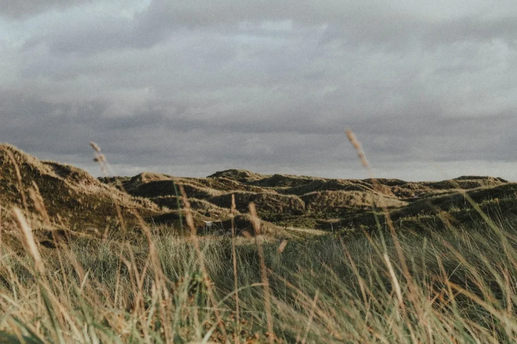 nature 2